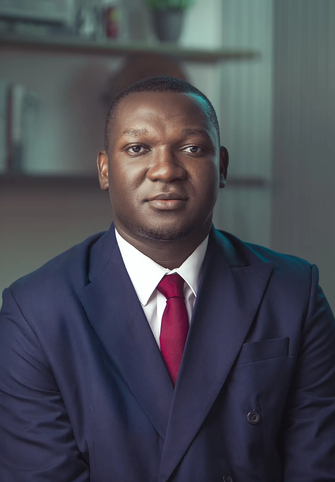 Portrait of David Jeng, Business Consultant