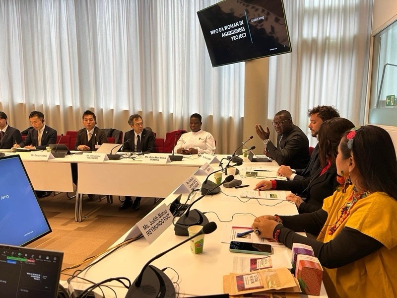 WIPO IP+ Accelerator Program for SMEs in The Gambia image